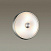Настенно-потолочный светильник Odeon Light PELOW 4957/2