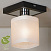 Накладной светильник Lussole Loft COSTANZO GRLSL-9007-01