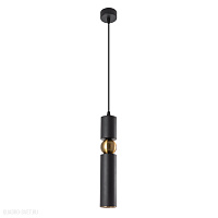 Подвесной светильник Arte Lamp RAN A3162SP-1BK