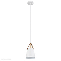 Подвесной светильник Arte Lamp THOMAS A7032SP-1WH