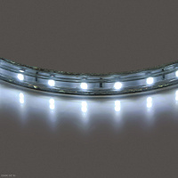 Светодиодная лента Lightstar 4200-4500K НЕЙТРАЛЬНЫЙ БЕЛЫЙ ЦВЕТ 402004 (отрез кратно метру)