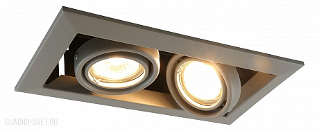 Встраиваемый светильник Arte Lamp Cardani A5941PL-2GY