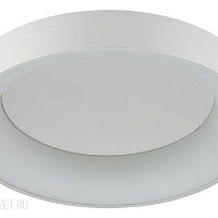 Светодиодный потолочный светильник Odeon Light SOLE 4062/50CL