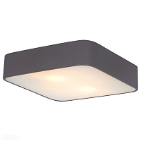 Потолочный светильник Arte Lamp COSMOPOLITAN A7210PL-2BK