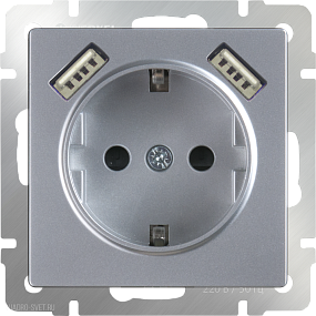 Розетка с заземлением, шторками и USBх2 (серебряный) Werkel WL06-SKGS-USBx2-IP20