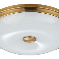 Настенно-потолочный светильник Odeon Light PELOW 4956/4