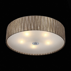 Потолочный светильник ST Luce Rondella SL357.702.05