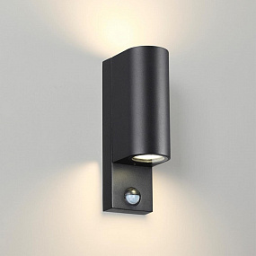 Настенный уличный светильник Odeon Light MOTTO 4390/2W