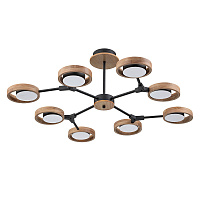 Потолочная светодиодная люстра Arte Lamp SIGNORA A2454PL-8BK