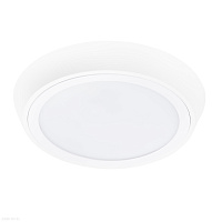 Накладной светодиодный светильник Lightstar Urbano 216902