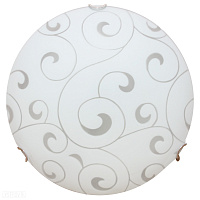Настенно-потолочный светильник Arte Lamp ORNAMENT A3320PL-2CC