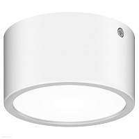 Уличный светодиодный потолочный светильник Lightstar Zolla 380164