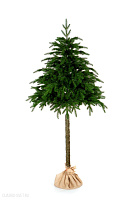 Ель CRYSTAL TREES ТАЛА 150 см. KP27150