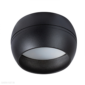 Накладной светильник Arte Lamp GAMBO A5551PL-1BK