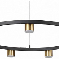Большая светодиодная люстра LUMION FLINT 6532/58L