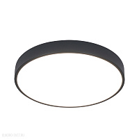 Потолочный светодиодный светильник Arte Lamp ARENA A2661PL-1BK