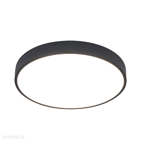 Потолочный светодиодный светильник Arte Lamp ARENA A2661PL-1BK
