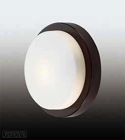 Светильник для ванных комнат ODEON LIGHT HOLGER 2744/1C