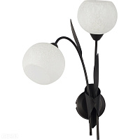 Бра LUSSOLE LSF-6291-02
