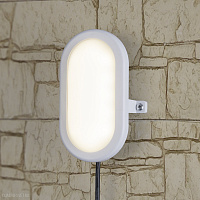 Пылевлагозащищенный светодиодный светильник Elektrostandard 6W 4000К IP54 (LTB0102D 6W 4000K)