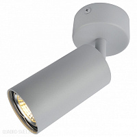 Накладной светильник Arte Lamp A3216PL-1GY