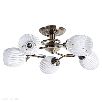 Потолочная люстра Arte Lamp ARYA A2941PL-5AB