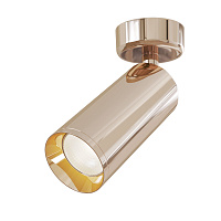 Накладной потолочный светильник Maytoni Focus C017CW-01RG