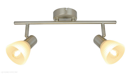 Спот Arte Lamp Parry A5062AP-2SS