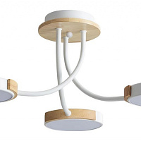 Потолочная светодиодная люстра LUMION ARLEY 5654/54CL
