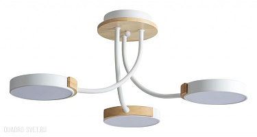Потолочная светодиодная люстра LUMION ARLEY 5654/54CL
