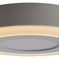 Накладной светильник Arte Lamp Antares A7806PL-2WH