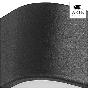 Потолочный светильник Arte Lamp COSMOPOLITAN A7210PL-2BK