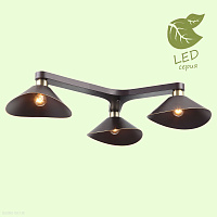 Потолочная люстра Lussole Loft OPELIKA GRLSP-9534