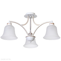 Потолочная люстра Arte Lamp EMMA A2713PL-3WG