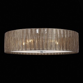 Потолочный светильник ST Luce Rondella SL357.702.05