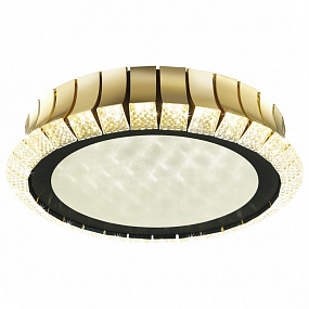 Потолочная светодиодная люстра Odeon Light ASTURO 4994/75L