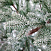 Ель CRYSTAL TREES РОНДА а в снегу 150 см. KP15150