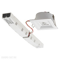 Аварийный светодиодный светильник Kanlux TRIC POWERLED PT 18648