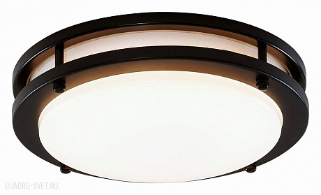 Потолочный светильник CITILUX Бостон CL709205N