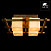 Потолочный светильник Arte Lamp WOODS A8252PL-4BR