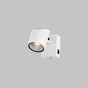 Светодиодный спот CITILUX Дубль-2 CL556610