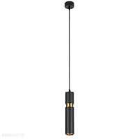 Подвесной светильник Arte Lamp RAN A3145SP-1BK