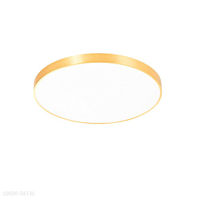Светодиодный потолочный светильник Zumaline SIERRA CL12100009-GD