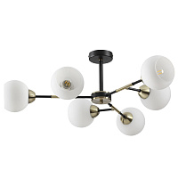 Потолочная люстра LUMION ROWAN 4595/6C