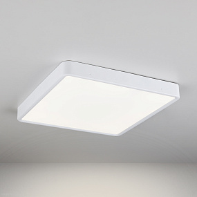 Потолочный светодиодный светильник Elektrostandard DLS034 24W 4200K