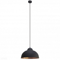 Подвес EGLO TRURO 2 49247
