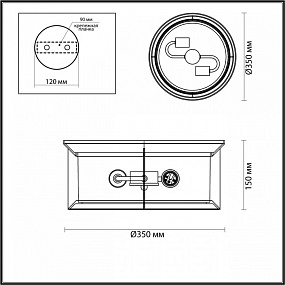 Ландшафтный потолочный светильник Odeon Light MAVRET 4961/2C