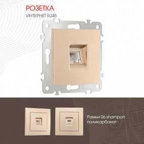 Розетка интернет, RJ45 206.45-1.shampan Arte Milano