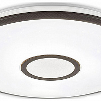 Потолочный светильник CITILUX Старлайт Смарт CL703A65G