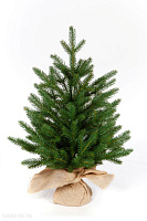 Ель CRYSTAL TREES ПЕРСЕЯ 60 см. KP1160